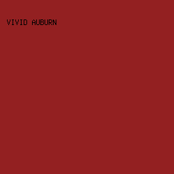 932021 - Vivid Auburn color image preview