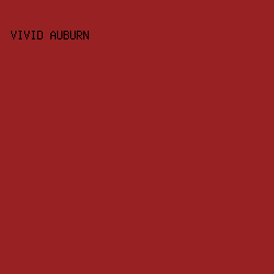 982123 - Vivid Auburn color image preview