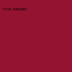 941331 - Vivid Burgundy color image preview