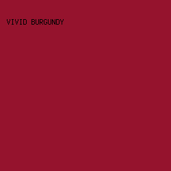 95132d - Vivid Burgundy color image preview