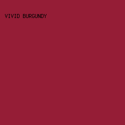 951d36 - Vivid Burgundy color image preview