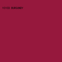 96183d - Vivid Burgundy color image preview