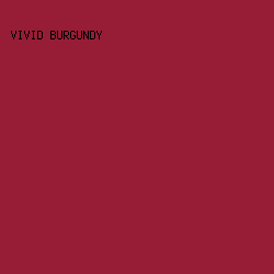 971D36 - Vivid Burgundy color image preview