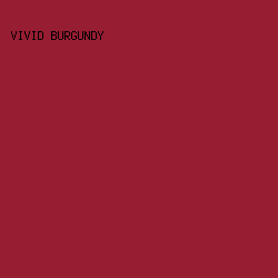 971d32 - Vivid Burgundy color image preview