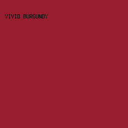 981e2f - Vivid Burgundy color image preview