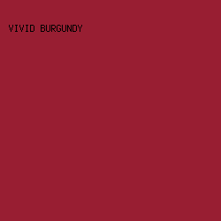 981e32 - Vivid Burgundy color image preview