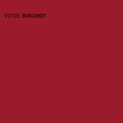 9C1B2A - Vivid Burgundy color image preview