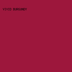 9D173C - Vivid Burgundy color image preview