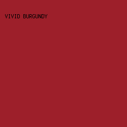 9D1F2A - Vivid Burgundy color image preview