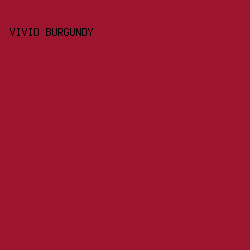 9E1530 - Vivid Burgundy color image preview