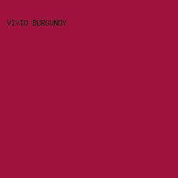 9F123F - Vivid Burgundy color image preview