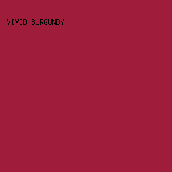 9F1C3B - Vivid Burgundy color image preview