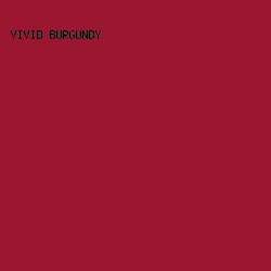 9b1631 - Vivid Burgundy color image preview