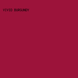 9c133a - Vivid Burgundy color image preview