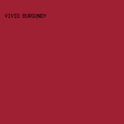 9f1f33 - Vivid Burgundy color image preview