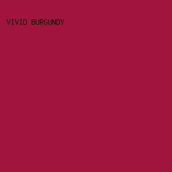 A0143E - Vivid Burgundy color image preview