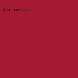 A51931 - Vivid Burgundy color image preview