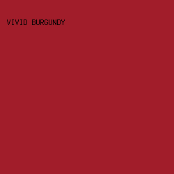 a11d2a - Vivid Burgundy color image preview