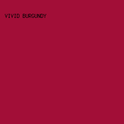 a20e37 - Vivid Burgundy color image preview