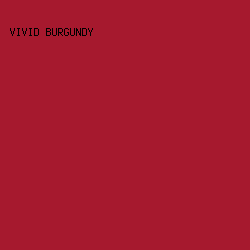 a6192e - Vivid Burgundy color image preview