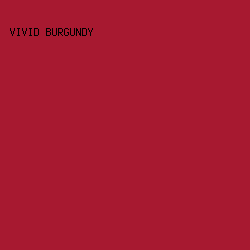 a71930 - Vivid Burgundy color image preview
