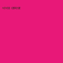 E71878 - Vivid Cerise color image preview