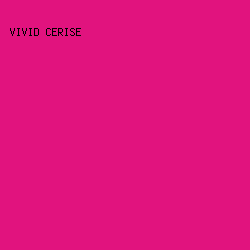 e1137e - Vivid Cerise color image preview