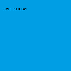 009EE4 - Vivid Cerulean color image preview