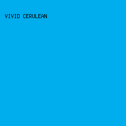 00ADED - Vivid Cerulean color image preview
