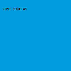 019ce0 - Vivid Cerulean color image preview