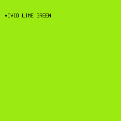 9BEA11 - Vivid Lime Green color image preview
