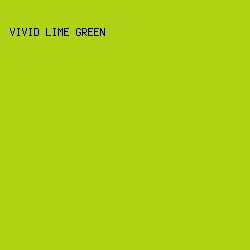 AFD214 - Vivid Lime Green color image preview
