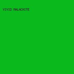 09B91B - Vivid Malachite color image preview
