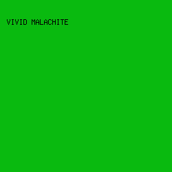 09BA0F - Vivid Malachite color image preview