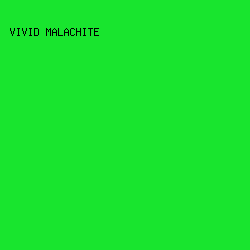 18E52E - Vivid Malachite color image preview