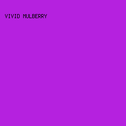 b521df - Vivid Mulberry color image preview