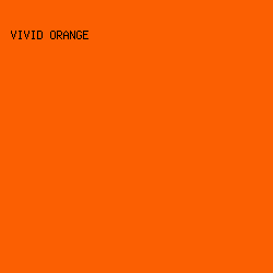 FB5F02 - Vivid Orange color image preview