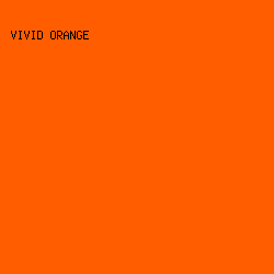 FF5D00 - Vivid Orange color image preview