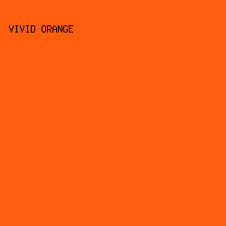 FF5E0E - Vivid Orange color image preview