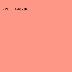 fe9785 - Vivid Tangerine color image preview