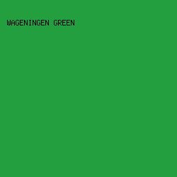 239f40 - Wageningen Green color image preview