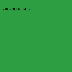 2D9E41 - Wageningen Green color image preview
