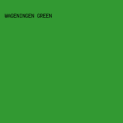 329932 - Wageningen Green color image preview