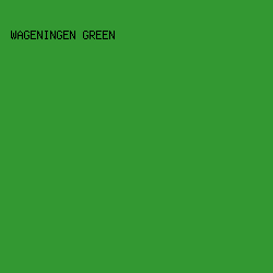 339832 - Wageningen Green color image preview