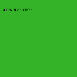 34b228 - Wageningen Green color image preview