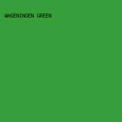 369F39 - Wageningen Green color image preview
