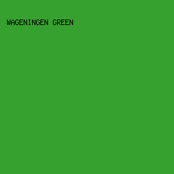 36a12e - Wageningen Green color image preview