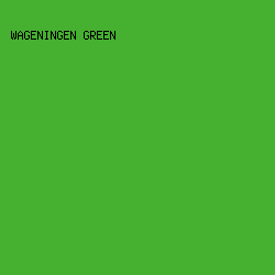 46B030 - Wageningen Green color image preview