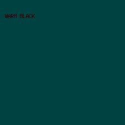 004241 - Warm Black color image preview