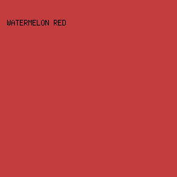 C33C3E - Watermelon Red color image preview